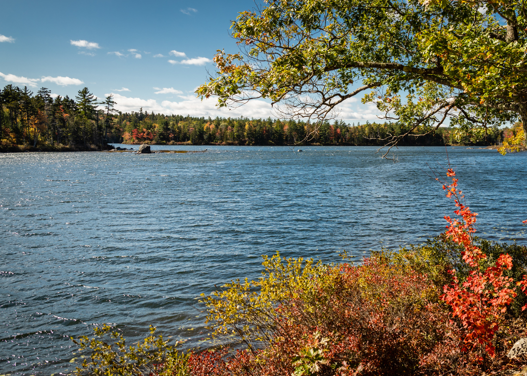 Fall colors are on display near water