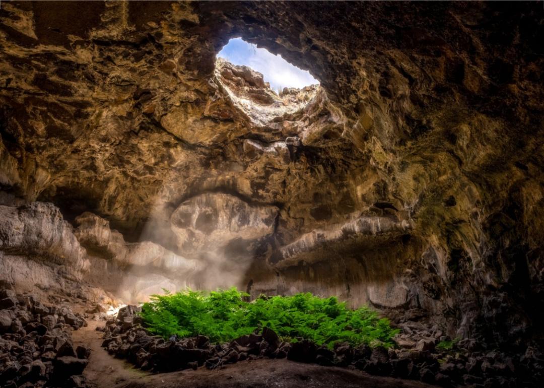 Sun rays coming through an opening in Mammoth Cave National Park.