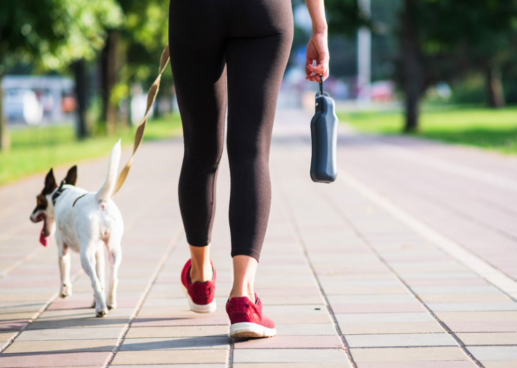 A small dog walking next to a person along a paved path.