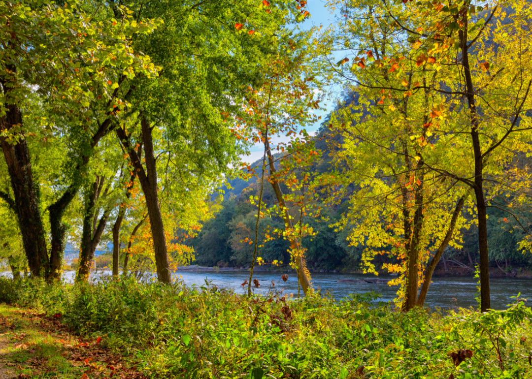 Fall foliage along the Monongahela River