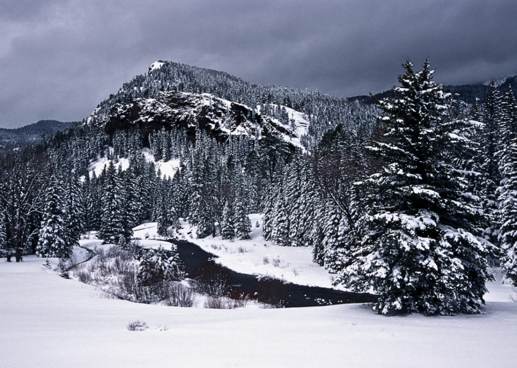A snow-covered forest with a mountain in the background.