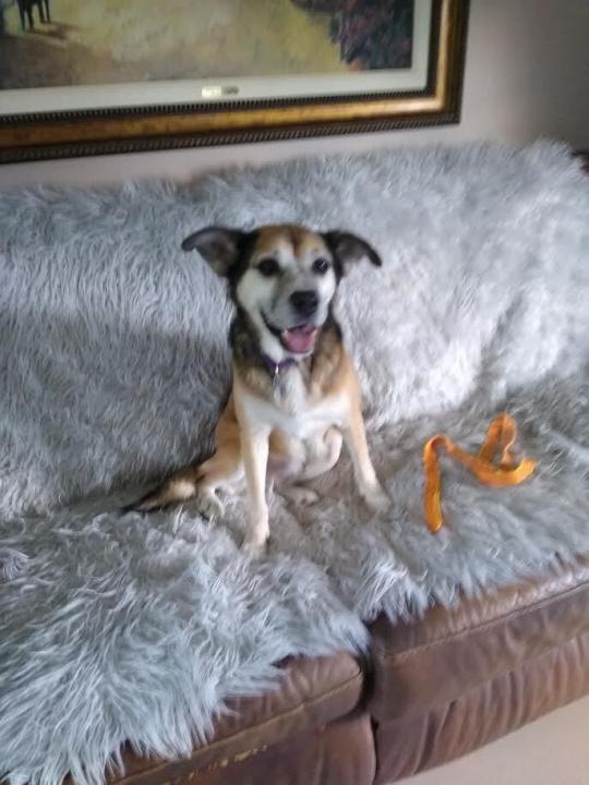 Bella
