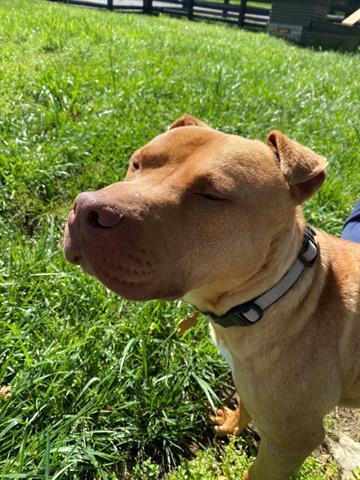 Duke