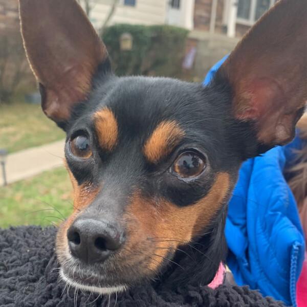 Zoe