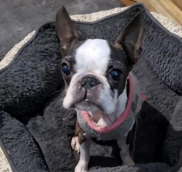 Sammie