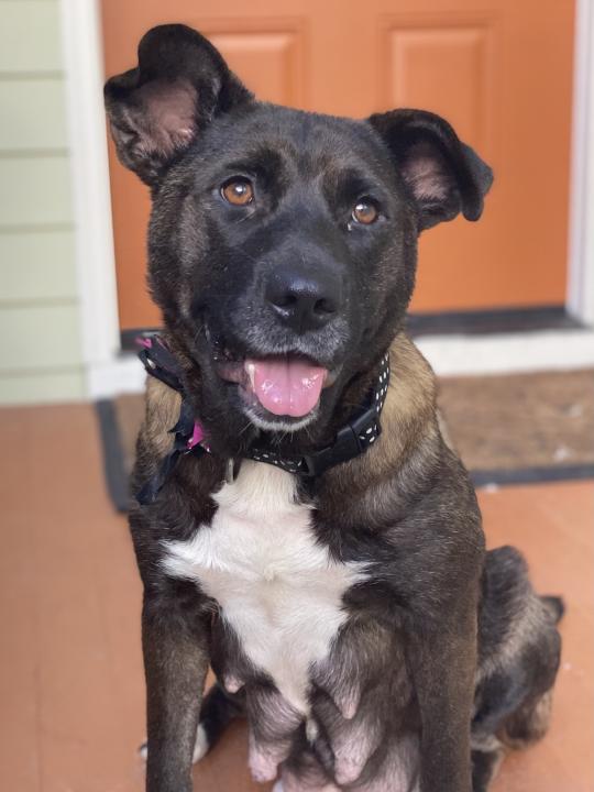 Skye