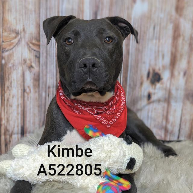 Kimbe