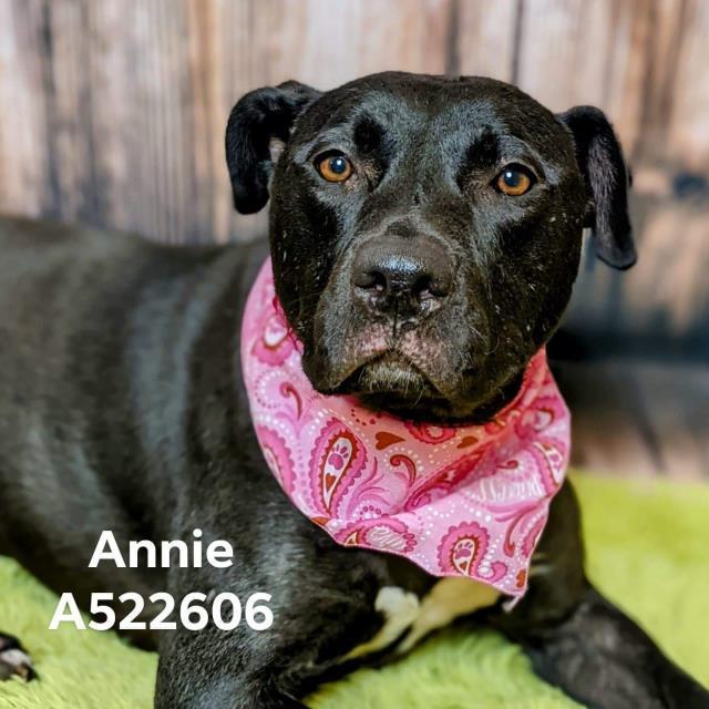 Annie