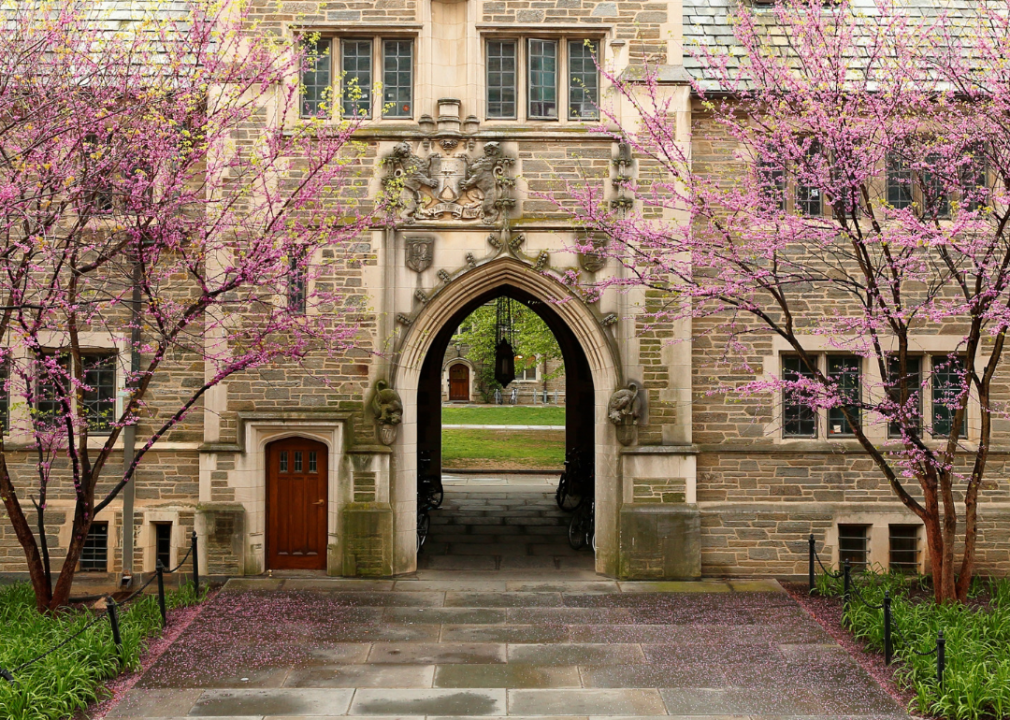 #6. Princeton University Purple blooming trees in front of Princeton.