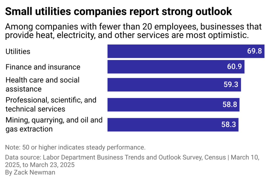 A bar chart showing utilities and financial companies with fewer than 20 employeed are among the most optimitic.