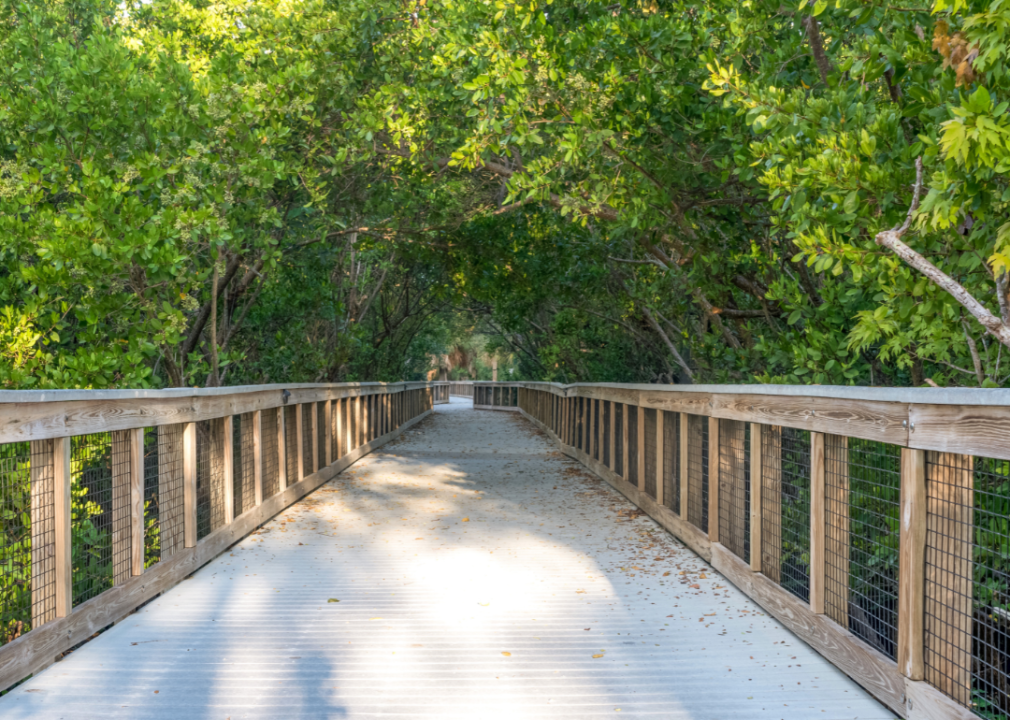 A wooden walking bridge lined with trees.