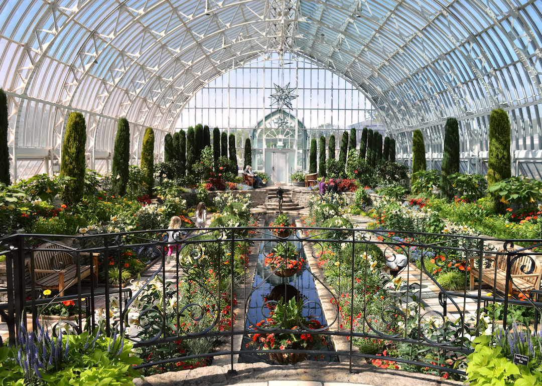 A conservatory of plants.
