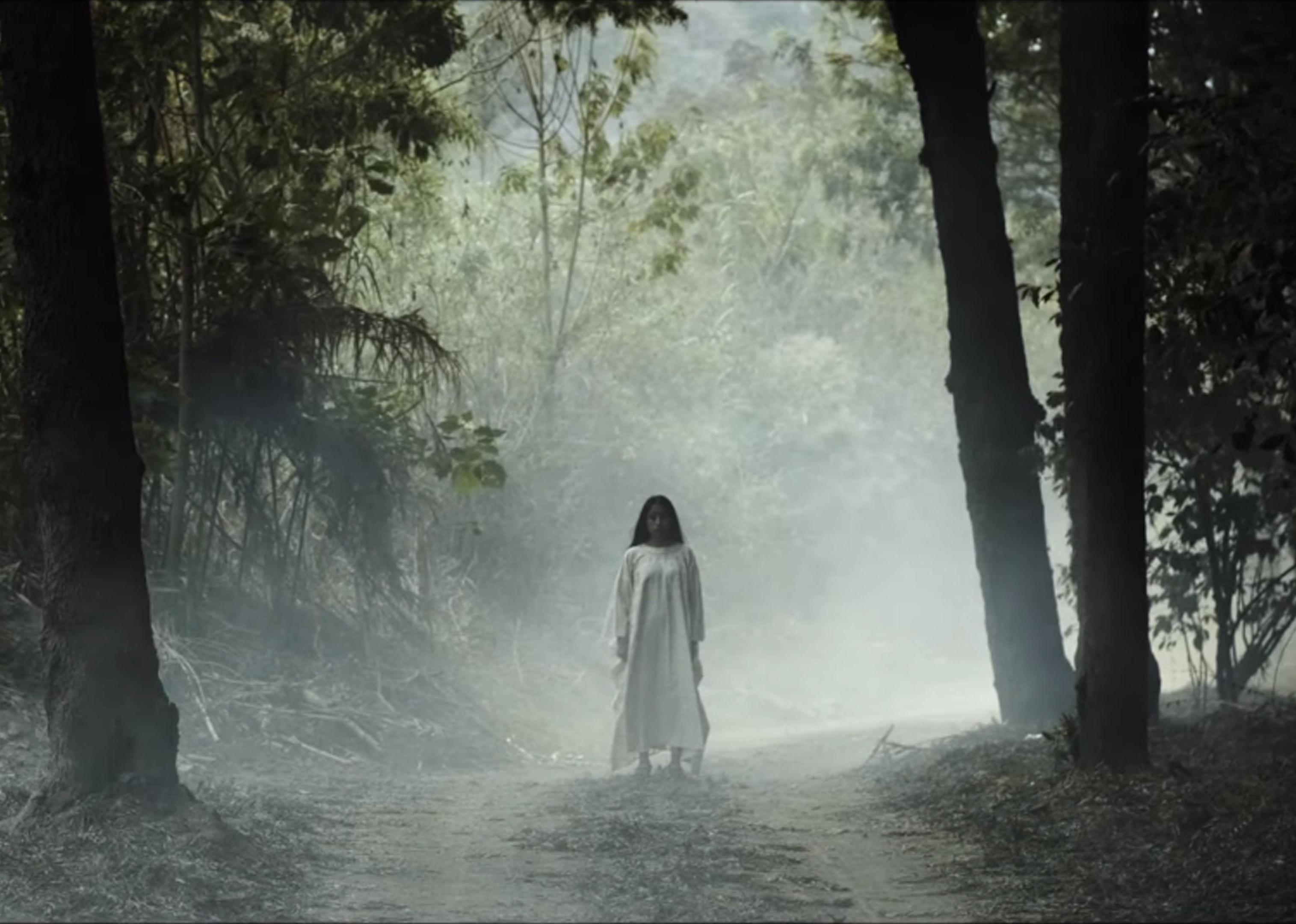 A ghostly looking woman in a white gown standing in the woods.