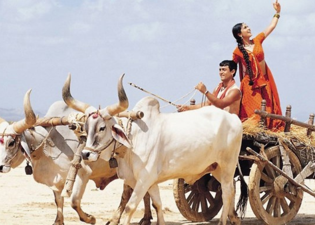 A man and woman on a wagon being pulled by cows in India.