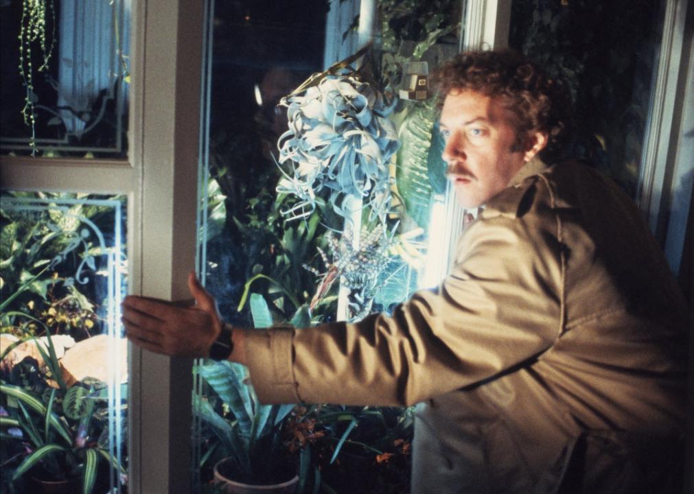 Donald Sutherland in a scene from "Invasion of the Body Snatchers"