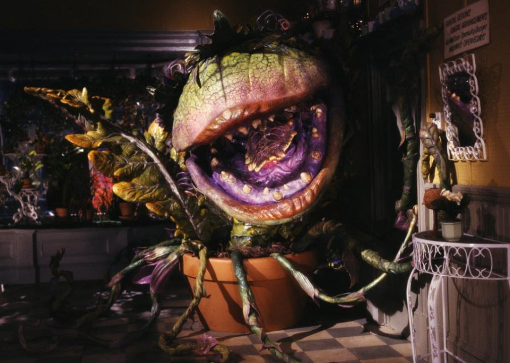 A scene from "Little Shop of Horrors"