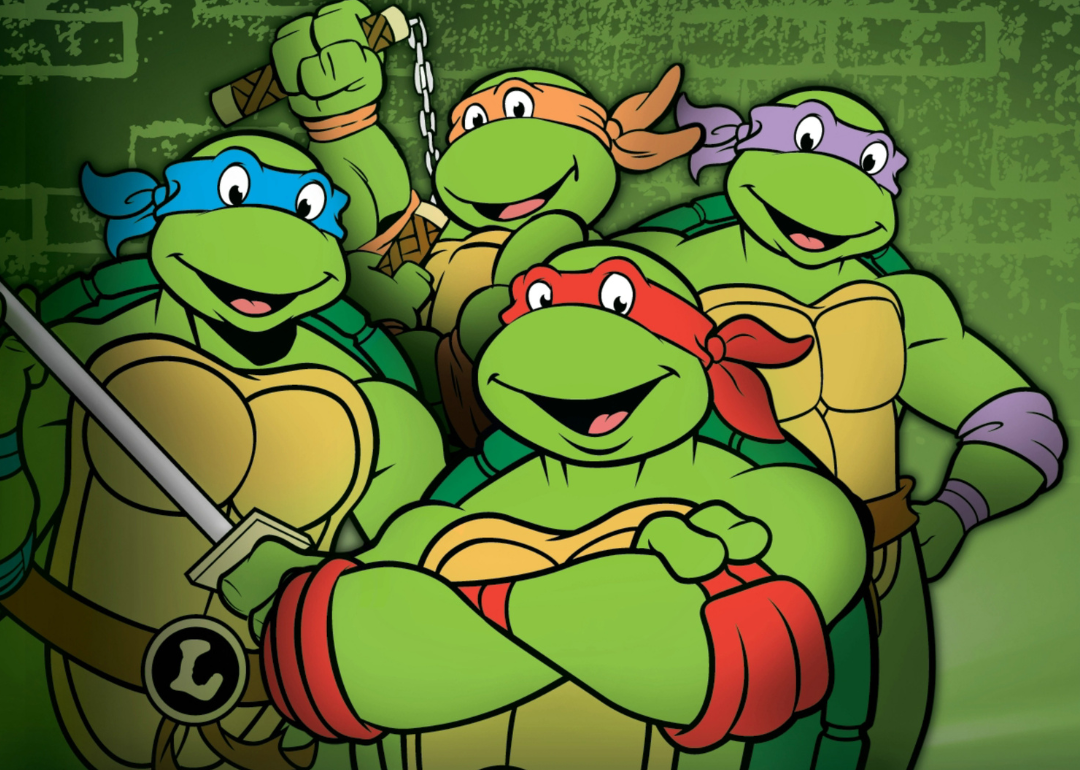 A cartoon of the Teenage Mutant Ninja Turtles posing.