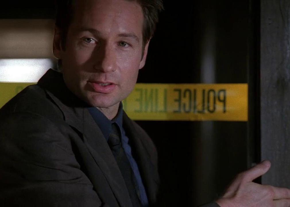 David Duchovny in the X-Files.