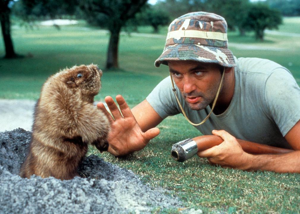 Bill Murray eye to eye with a gopher in the movie Caddyshack, circa 1980.