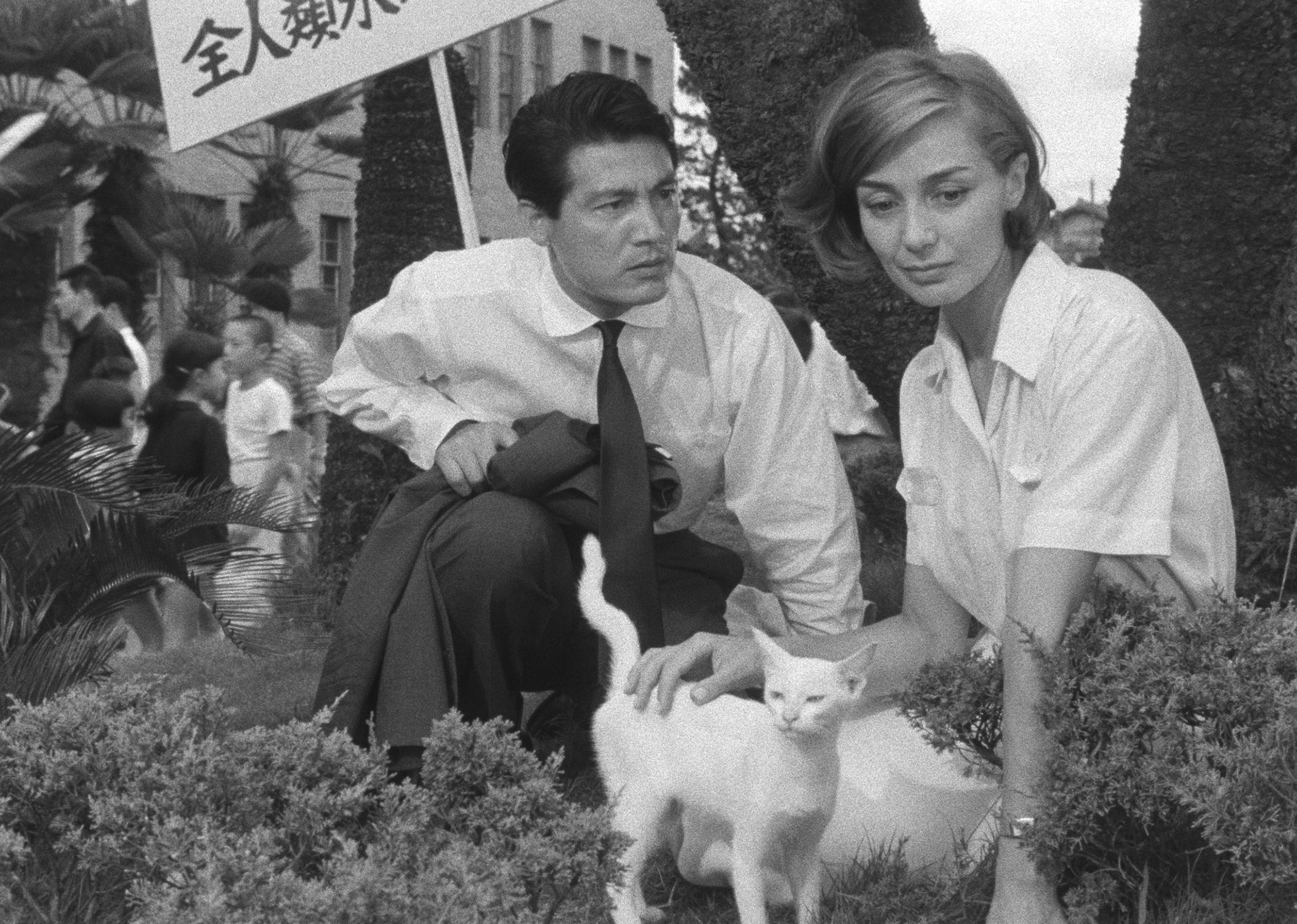 A man in a suit kneeling down to talk to a woman petting a white cat next to a tree.