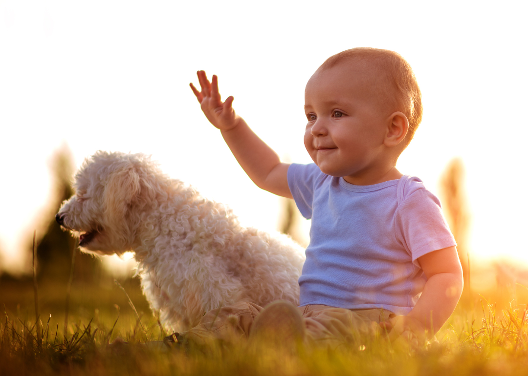 A baby boy in a blue shirt sitting with a little dog outside.