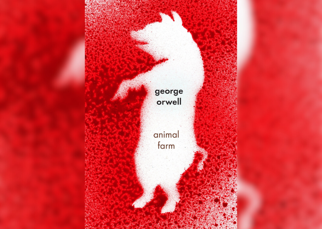 A red background with an outline of a standing pig in the middle.