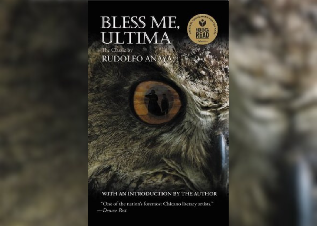 An owl's eye reflecting shadows of people.