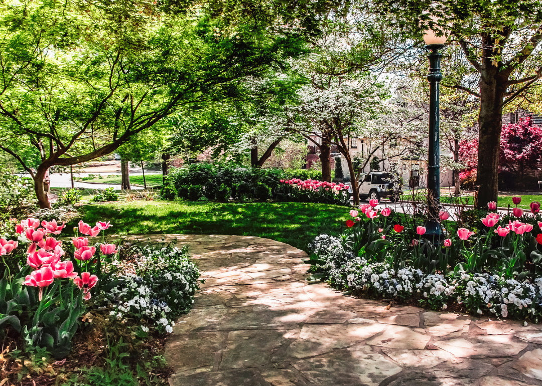 A tulip garden and a path in the trees.