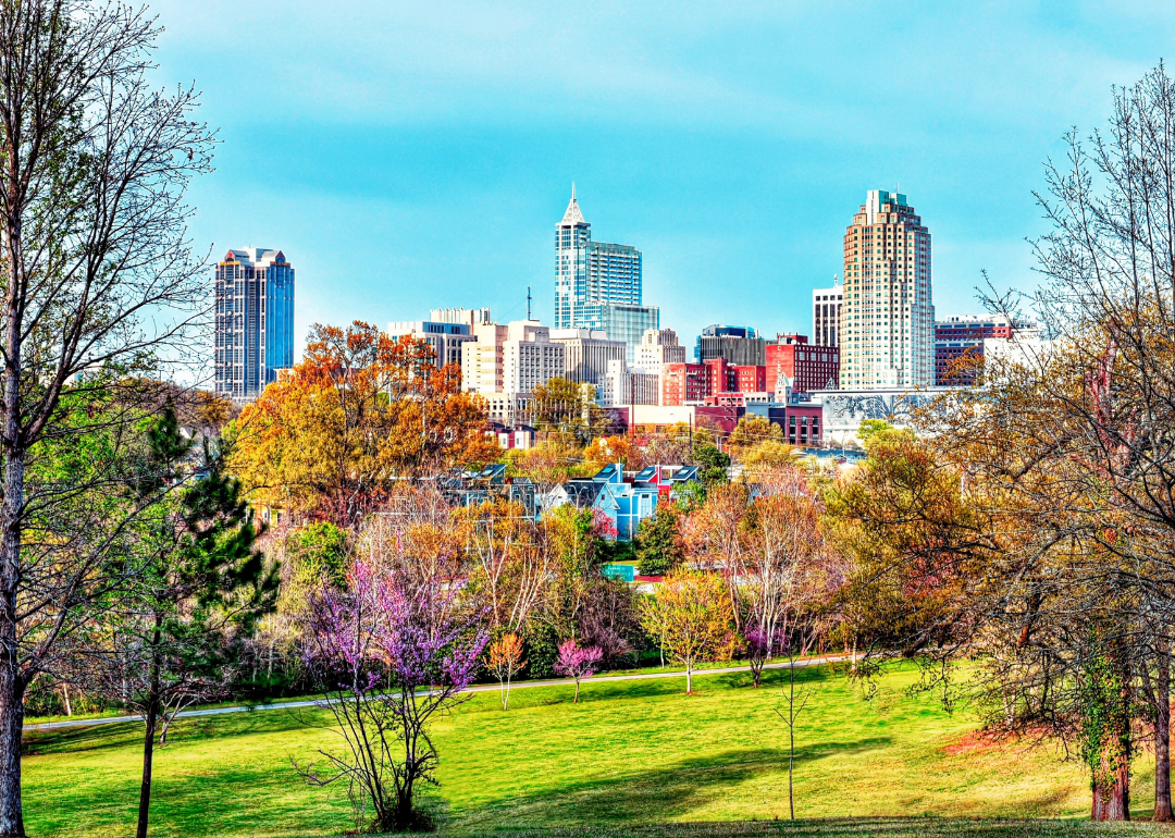 Homes and the downtown skyline in Fall.