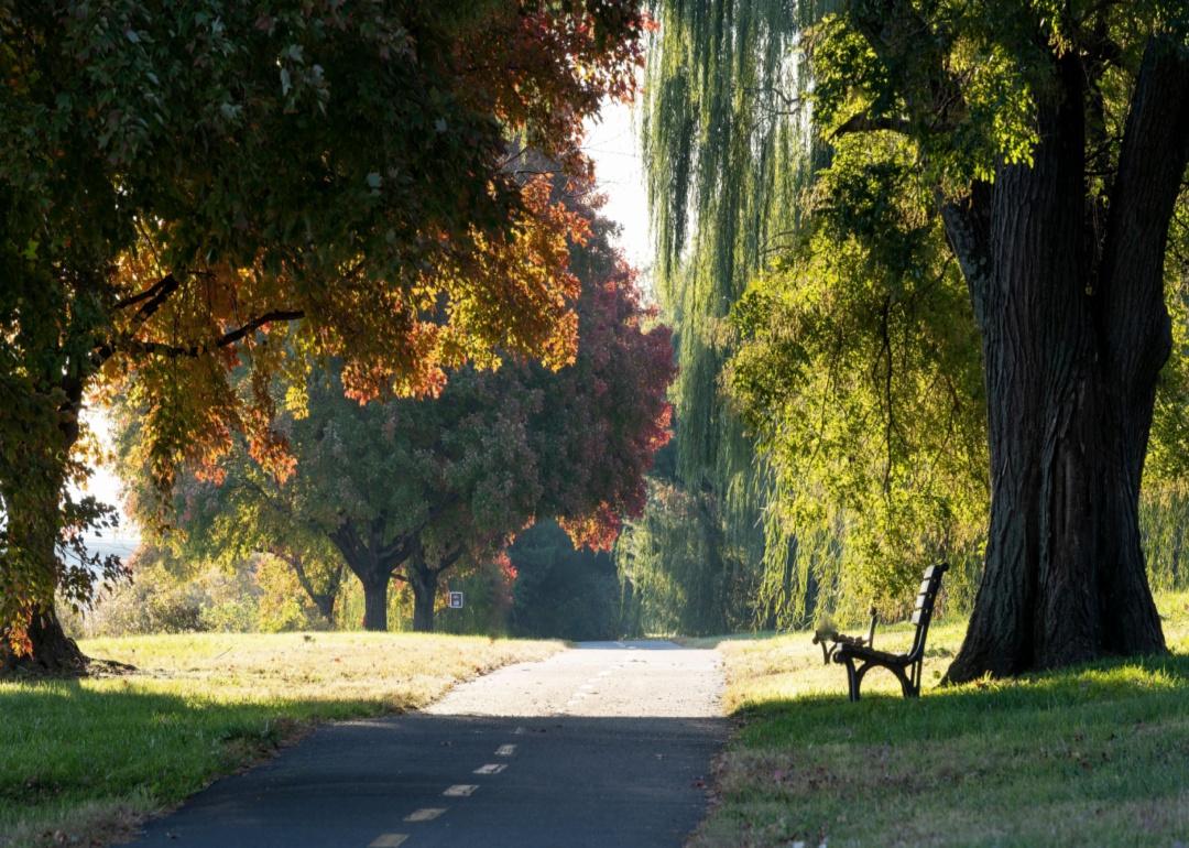 A path on a trail in Fall.