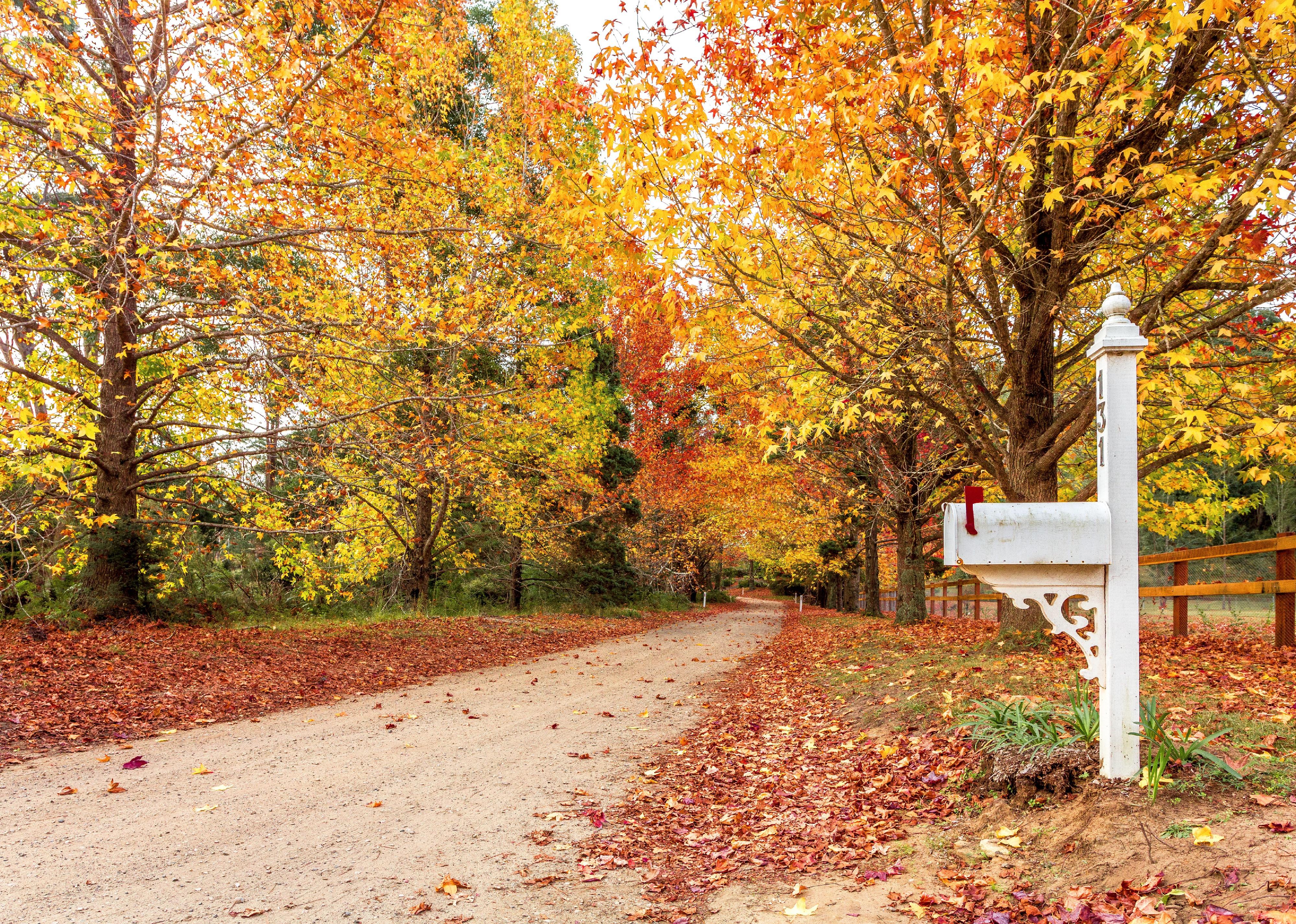 A white mailbox on a small road in the Fall.