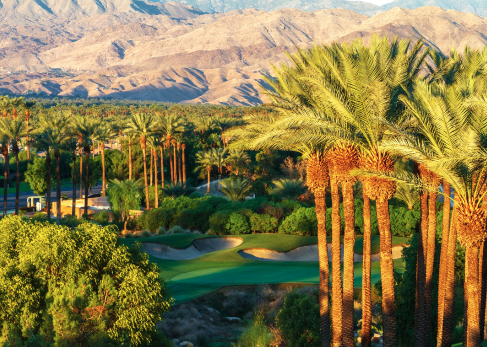 Palm trees, a golf course and mountains in the background.