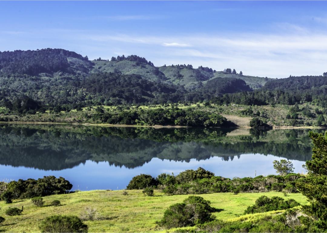 Tree-covered rolling hills by water.