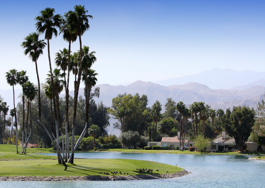 Palm trees on a golf course with a small pond, homes and mountains in the background.