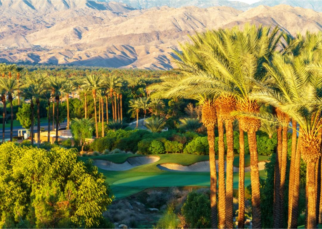 Palm trees, a golf course and mountains in the background.