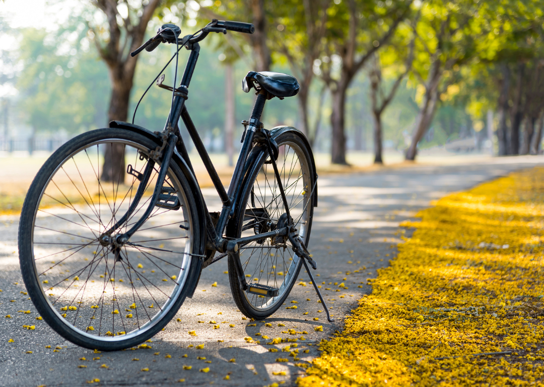 A parked bicycle on a tree-lined path.