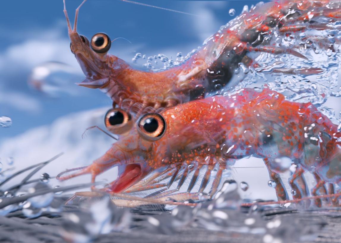 An animation of two Krill in the water.