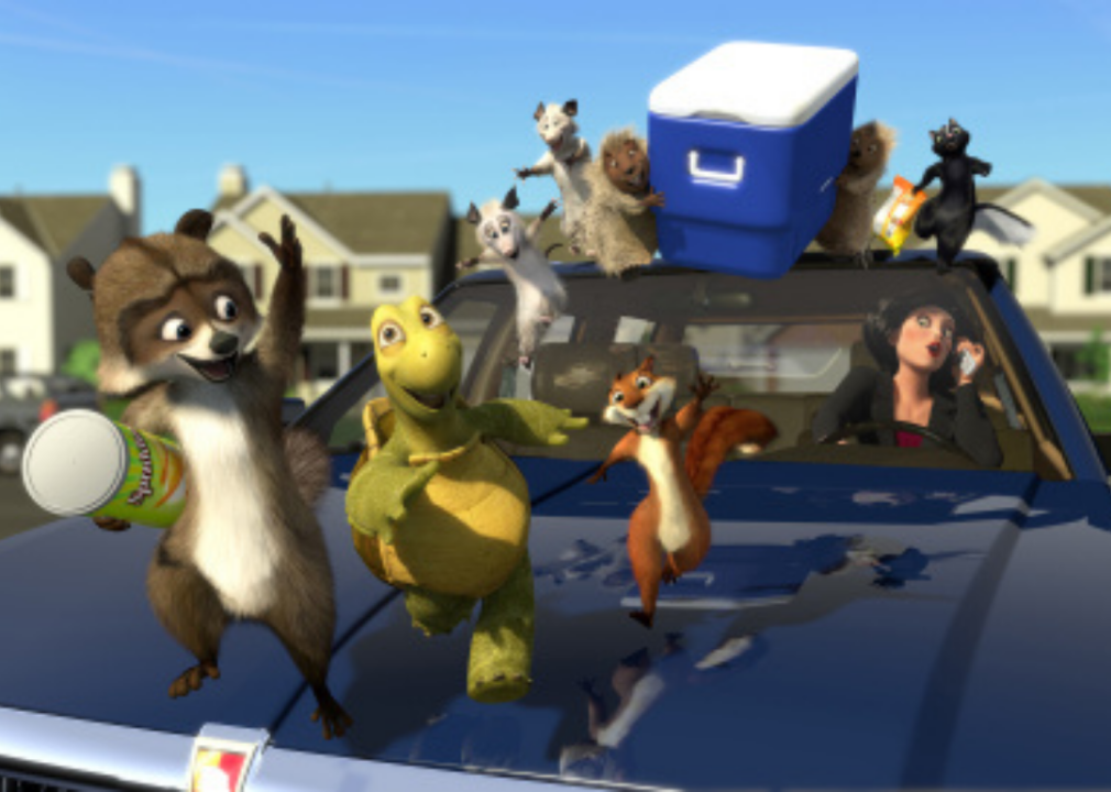 A bunch of forest creatures run across the top of a moving car.