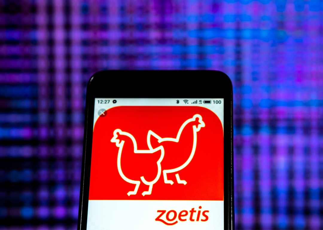 The Zoetus app on a phone with an outline of two chickens in orange.