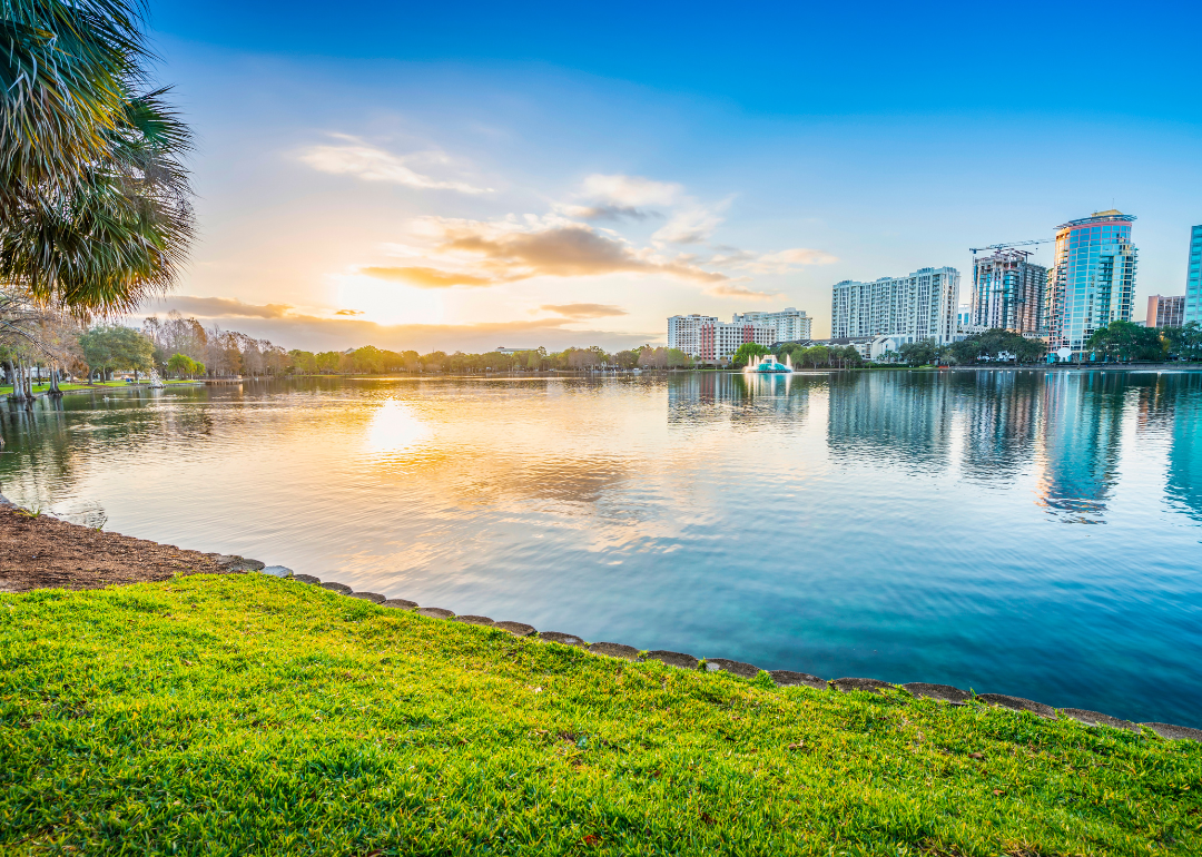 A palm tree lined park with downtown Orlando across the water.