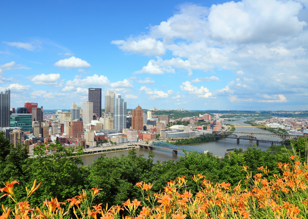 Orange flowers blooming on a hill with downtown Pittsburgh in the background.