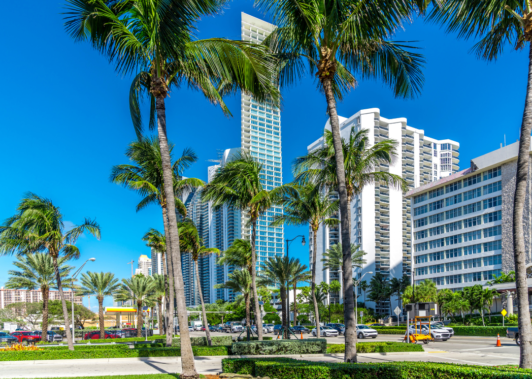 Palm trees and tall buildings against a blue sky.