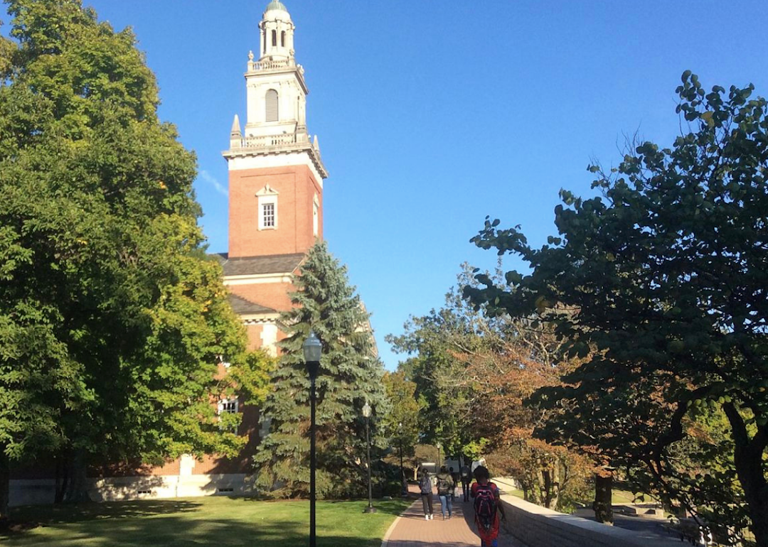 A tree-lined path leading to a red brick building with a tower.