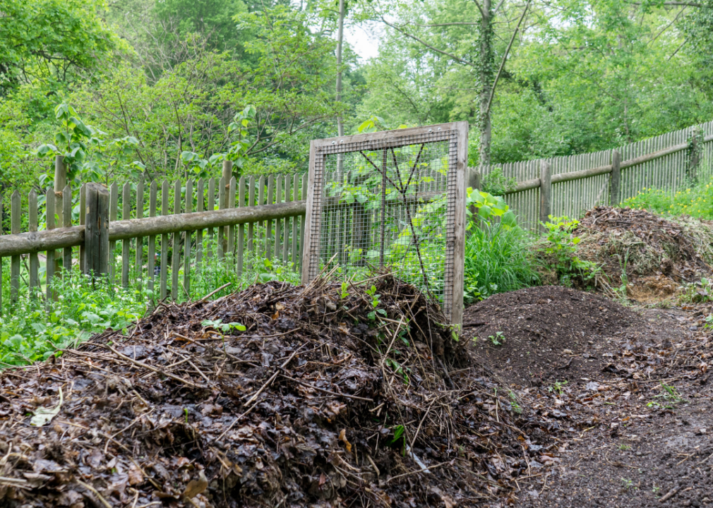 How To Compost At Home: The Ultimate Beginner Guide – Lomi