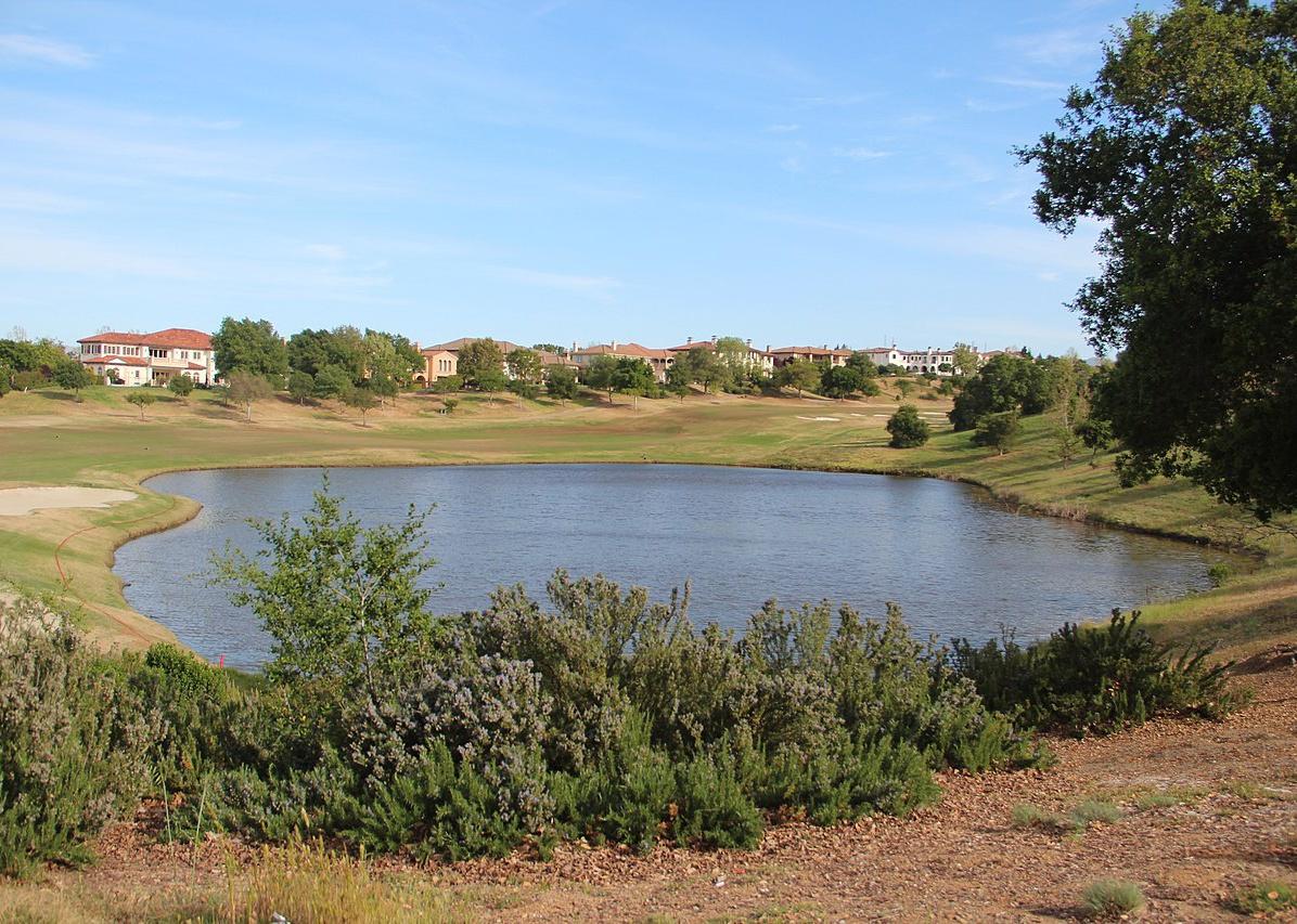 A pond in front of homes on a golf course.