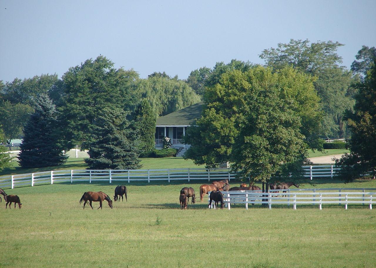 A farmhouse with a white fence in front holding a herd of horses.