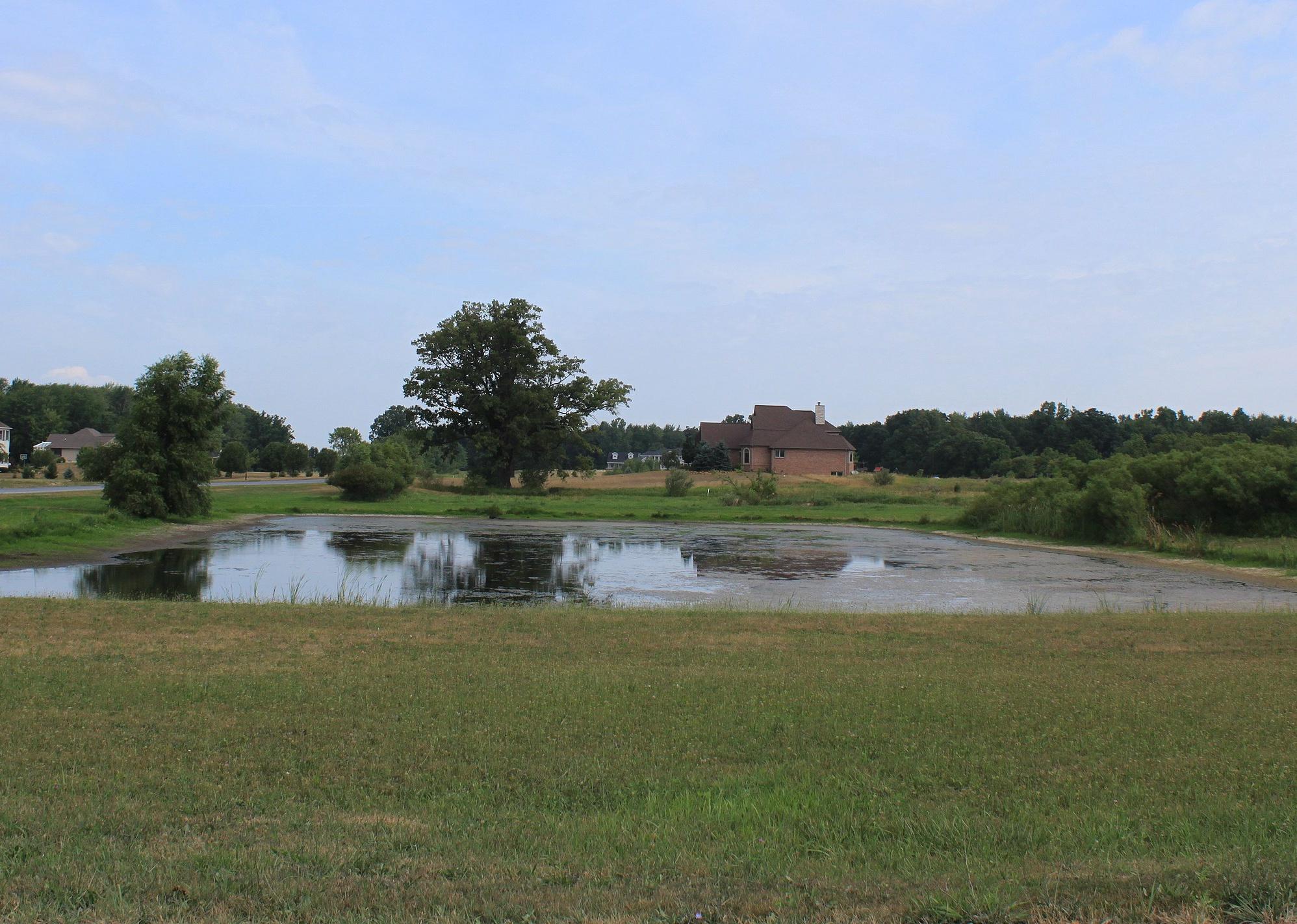 Rural homes with a pond in the front.