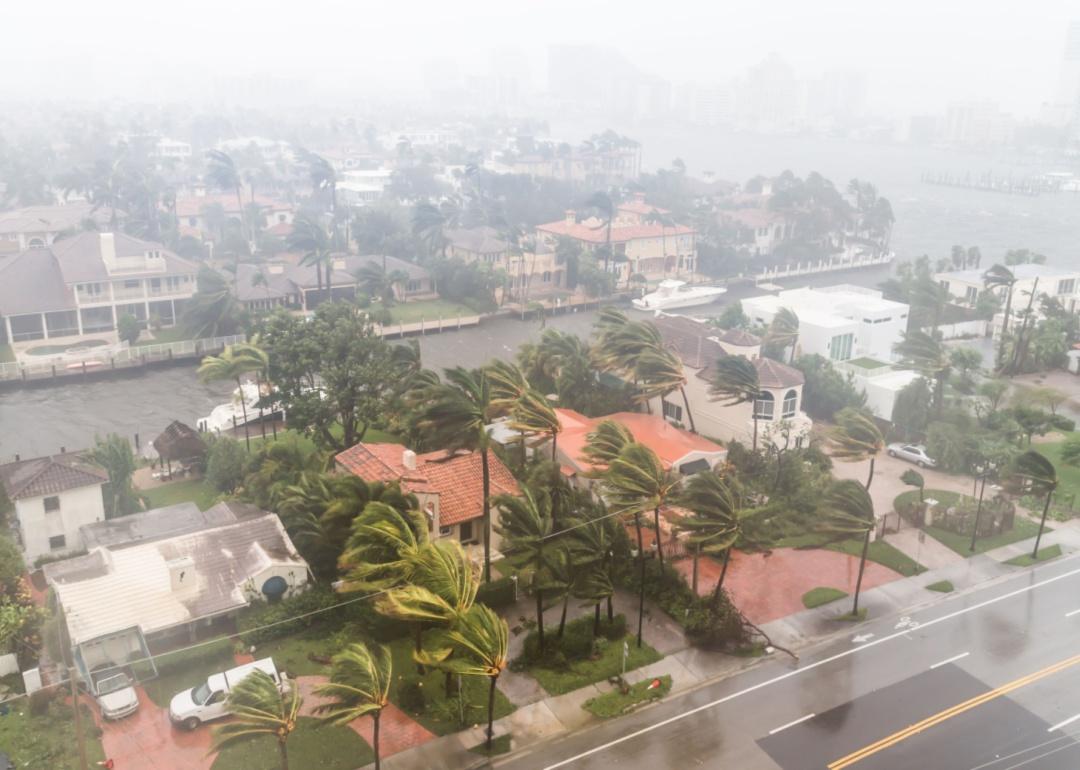 Extreme winds and rain blow over palm trees and flood buildings on the water.