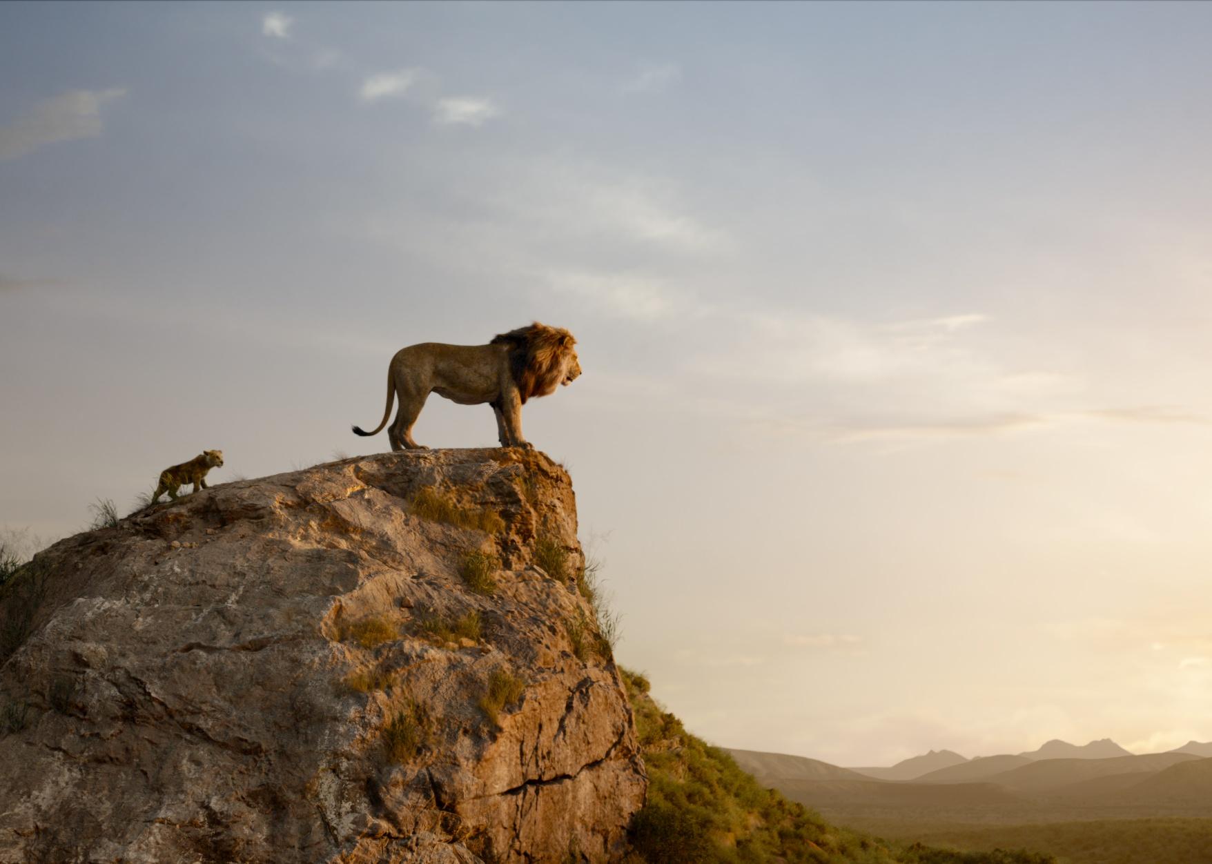 A lion cub following a grown lion who is sitting on a cliff overlooking the valley.