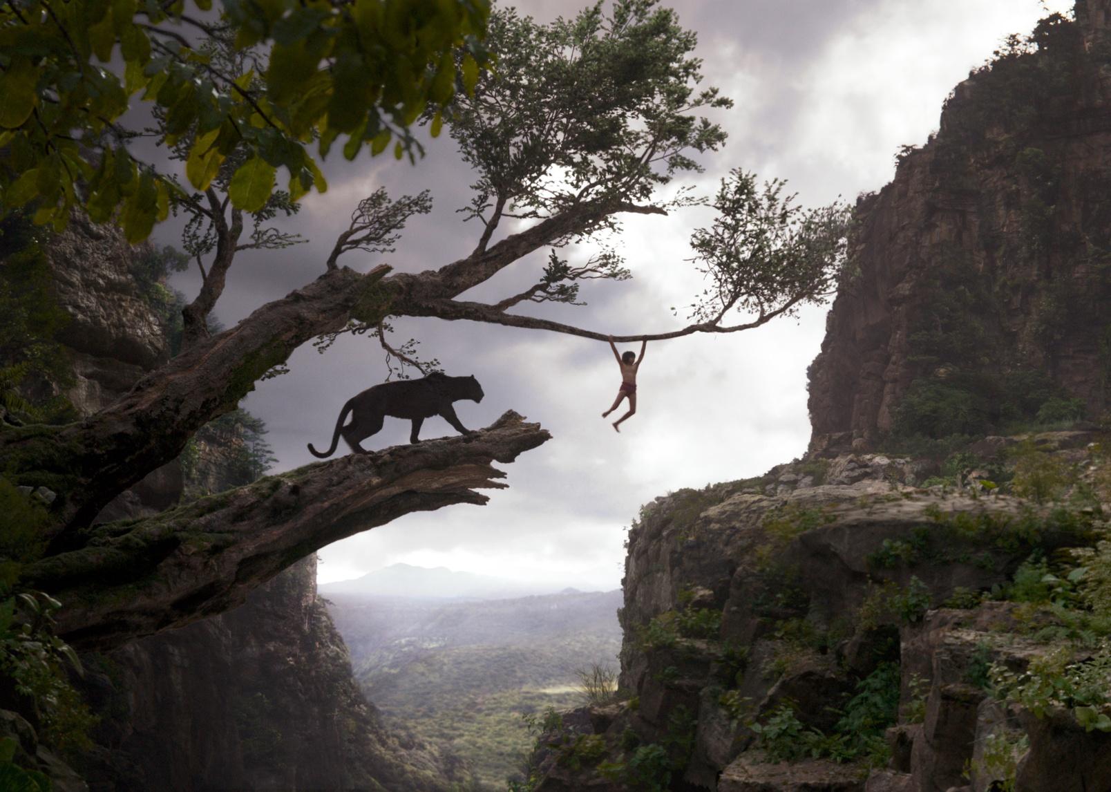 A far away view of Mowgli, a young boy, swinging across a canyon on a tree branch in front of a black panther named Bagheera.